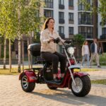 Электротрицикл CITY TRIO 300, красный