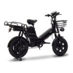 Электровелосипед BNP Eco Dual