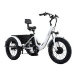 Электровелосипед BNP Eco Trio Pro