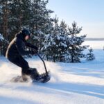 Мотосноуборд: что это, кому подходит и чем отличается от снегохода — новинка BNP