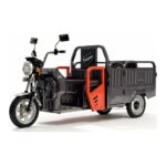Электротрицикл BNP Zevs ULTRA COMBI