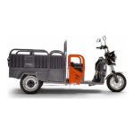 Электротрицикл BNP Zevs ULTRA COMBI