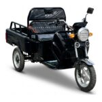 Электротрицикл BNP Zevs ULTRA MINI